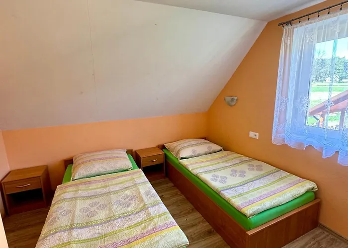 Letniskowe Konik 2 펜션 *